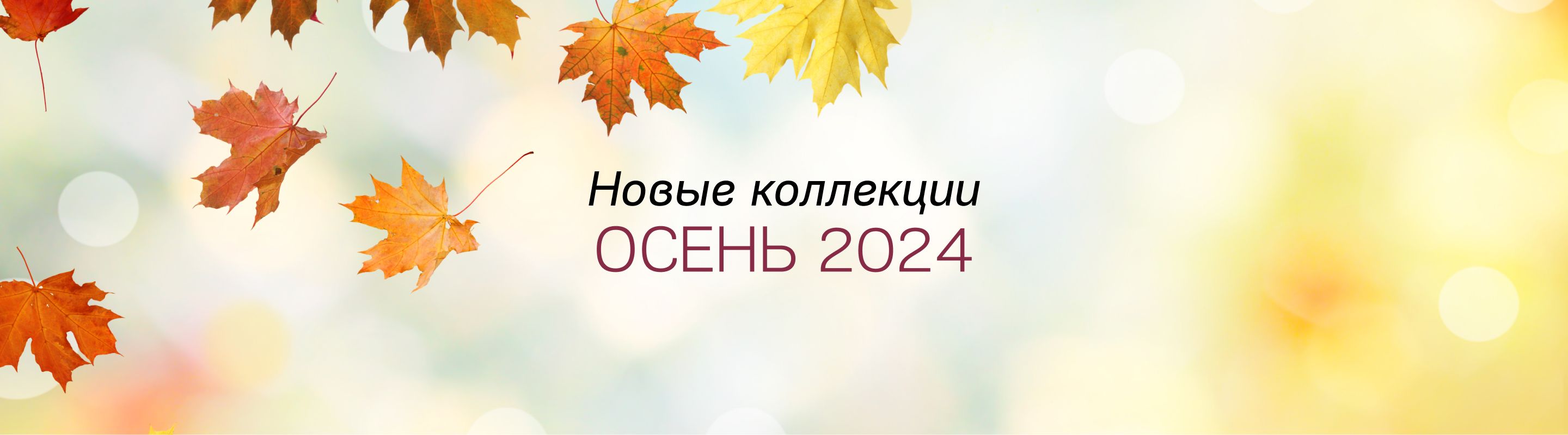 Новые коллекции осень 2024